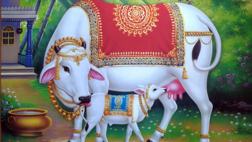 Chokar
